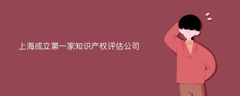 上海成立第一家知识产权评估公司