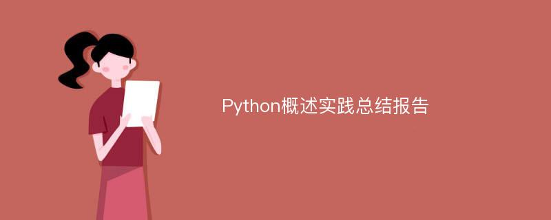 Python概述实践总结报告