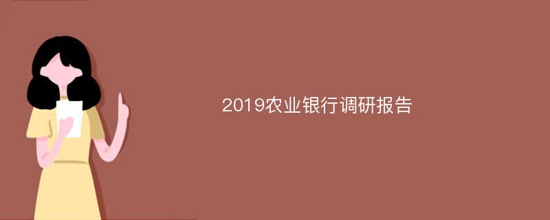 2019农业银行调研报告